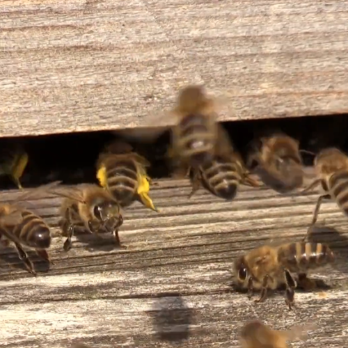 Screenshot 2025-08-10 210809